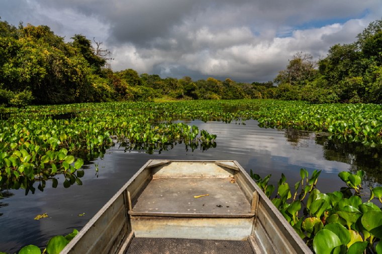 002 Noord Pantanal.jpg